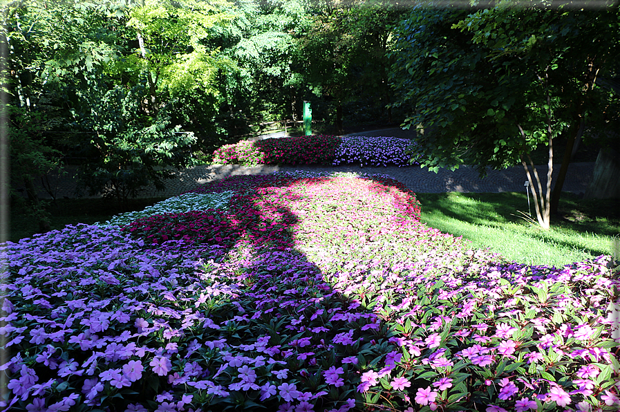 foto Giardini Trauttmansdorff - Boschi del Mondo